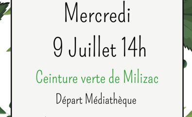 Balade nature pour découvrir l’application de reconnaissance de végétaux Plant Net
