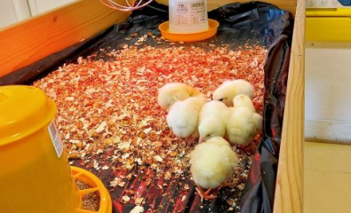 Ecole Marcel Aymé - Janvier 2026